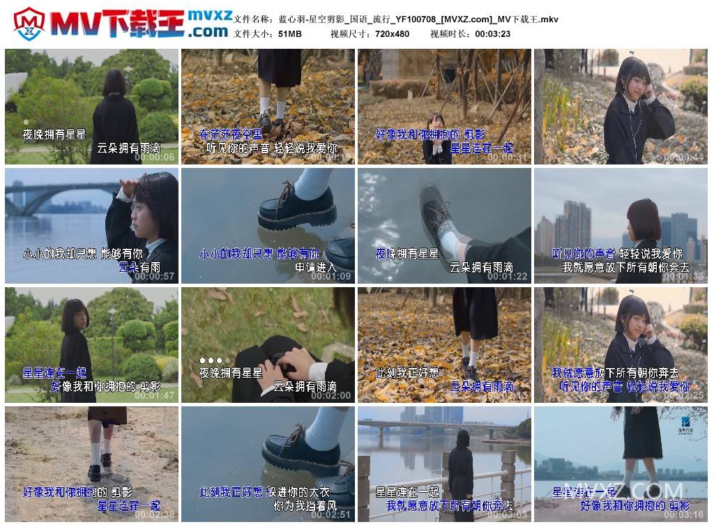 蓝心羽-星空剪影_国语_流行_YF100708